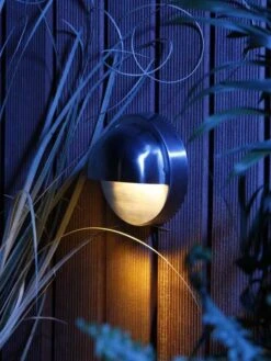 Gartenausstattergeschäft -Gartenausstattergeschäft 2585061 Palm 2 1280x1280