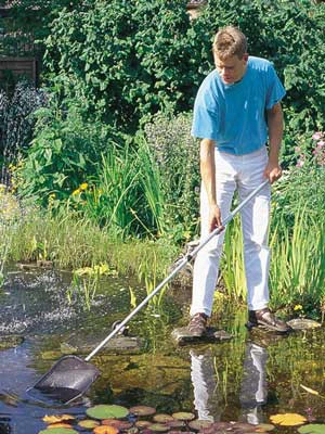 Algenkescher gross (Art.Nr. 36297) Algenkescher Gross (Art.Nr. 36297) -Gartenausstattergeschäft