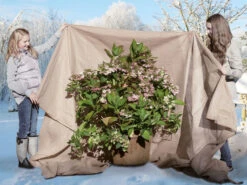 Vlies-Thermomantel, Uni Beige (Art.Nr. Vi36002) 2 Vlies-Thermomantel, Uni Beige (Art.Nr. Vi36002) -Gartenausstattergeschäft Wintervlies Thermomantel 3 1280x1280