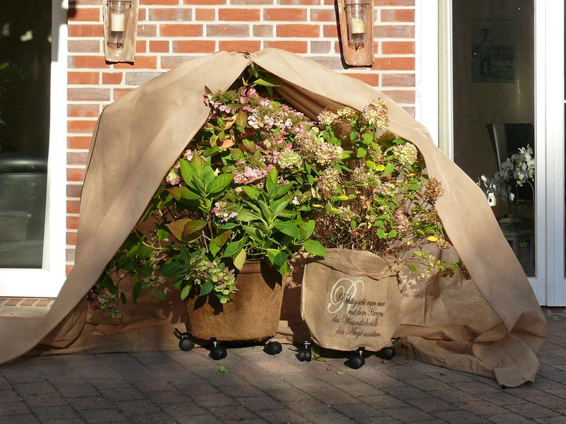 Vlies-Thermomantel, uni beige (Art.Nr. Vi36002) Vlies-Thermomantel, Uni Beige (Art.Nr. Vi36002) -Gartenausstattergeschäft Wintervlies Thermomantel