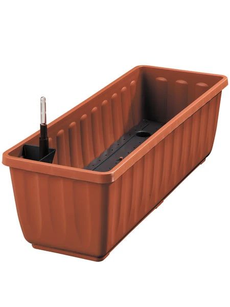 Zuckerblatt, Süßkraut, Süßblatt, Stevia rebaudiana Zuckerblatt, Süßkraut, Süßblatt, Stevia Rebaudiana -Gartenausstattergeschäft