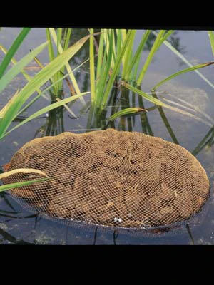 Aquahumin von OASE (Art.Nr.53759) Aquahumin Von OASE (Art.Nr.53759) -Gartenausstattergeschäft