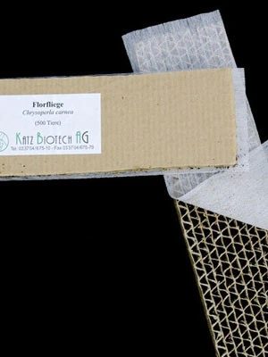 Florfliege (Art.Nr. KB4070) Florfliege (Art.Nr. KB4070) -Gartenausstattergeschäft