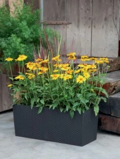 Blumenkasten Rato Case In Flechtoptik -Gartenausstattergeschäft blumenkasten rato square be 1280x1280