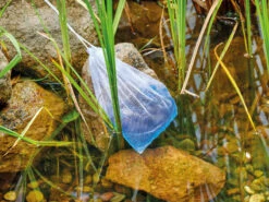 AquaActiv DuoBoost Von OASE -Gartenausstattergeschäft duoboost6 1280x1280