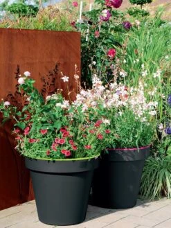 Pflanzkübel E&K Bicolor -Gartenausstattergeschäft eundk bicolor rund57fc9f0e47970 1280x1280