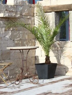 Pflanzkübel Geflecht-Dekor -Gartenausstattergeschäft flechtkuebel eckig niedrig57ebb4ed38d1b 1280x1280