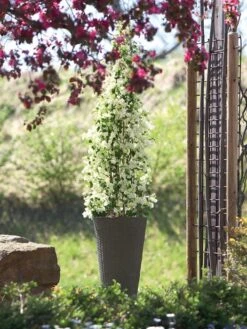 Pflanzkübel Geflecht-Dekor -Gartenausstattergeschäft flechtkuebel rund hoch bepf 1280x1280