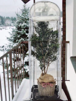 Frost-Schutzhaus SNOW (Art.Nr. V29933) 6 Frost-Schutzhaus SNOW (Art.Nr. V29933) -Gartenausstattergeschäft frost schutzhaus balkon 1280x1280