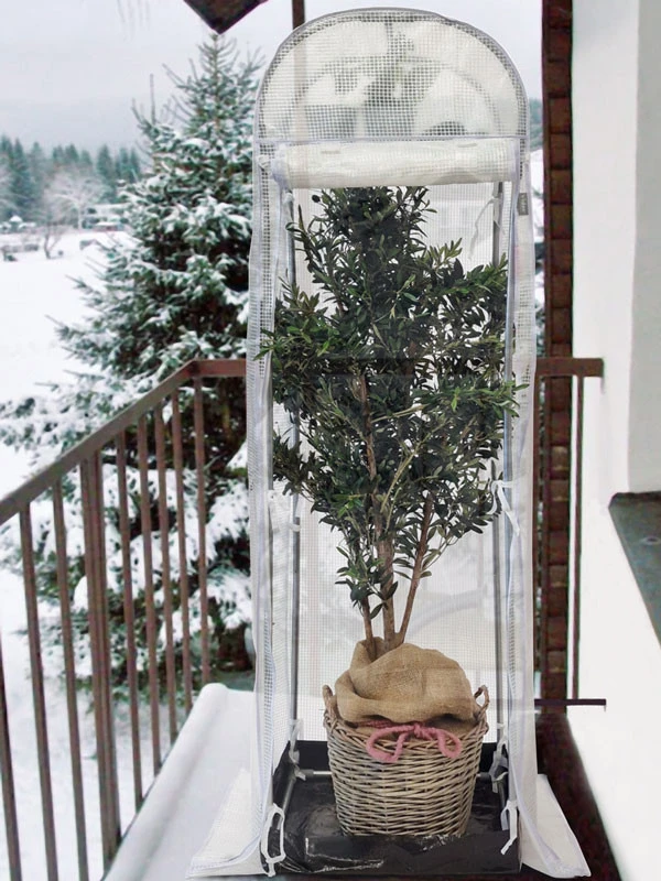 Frost-Schutzhaus SNOW (Art.Nr. V29933) Frost-Schutzhaus SNOW (Art.Nr. V29933) -Gartenausstattergeschäft frost schutzhaus