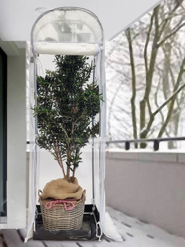 Frost-Schutzhaus SNOW (Art.Nr. V29933) Frost-Schutzhaus SNOW (Art.Nr. V29933) -Gartenausstattergeschäft frost schutzhaus