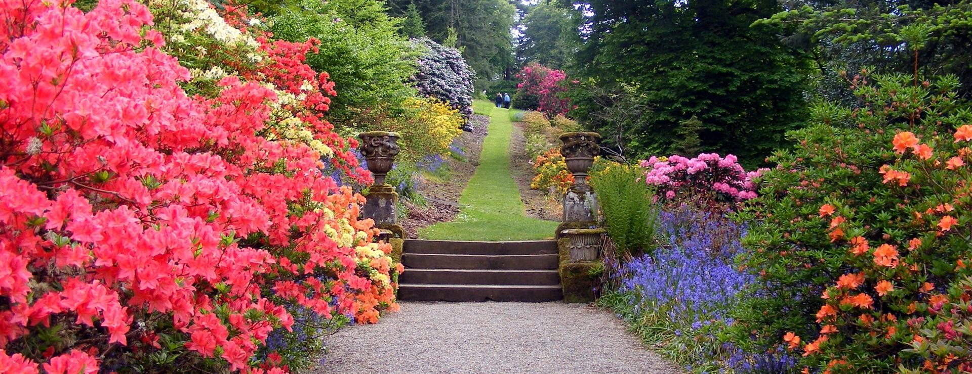 Gartenausstattergeschäft -Gartenausstattergeschäft garden 470704 1920