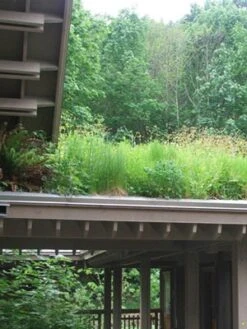 Gründach-Paket Für 15 Qm Dachfläche -Gartenausstattergeschäft gruendachpaket carport 1280x1280