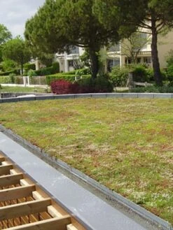 Gründach-Paket Für 15 Qm Dachfläche