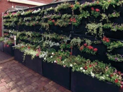 Overgrowing Mat Von Velda (Art.Nr.Vel127590) -Gartenausstattergeschäft overgrowing mat beispiel 1280x1280