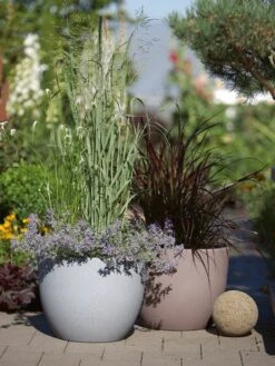 Pflanzkübel Rimini 2 Pflanzkübel Rimini -Gartenausstattergeschäft pflanzkuebel rimini stimmun 1280x1280