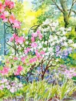 Rosen-Begleit-Stauden (10 Stück) Für Die Sonne