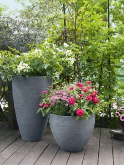 Pflanzkübel Rund Rillentopf -Gartenausstattergeschäft rillentopf rund bepflanzt 1280x1280