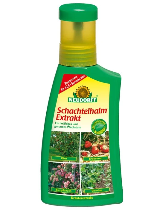 Schachtelhalm Extrakt Schachtelhalm Extrakt -Gartenausstattergeschäft