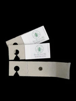 Schlupfwespe (Art.Nr. KB3056) -Gartenausstattergeschäft schlupfwespe versand verpac 80549 2 1280x1280