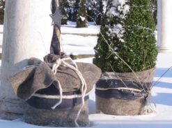 Winterschutz Schafwollmatte Aus Reiner Schafwolle -Gartenausstattergeschäft steingrau schafswollmatte 1280x1280