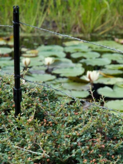 Ultra Protector Von Velda (Art.Nr.Vel128026) -Gartenausstattergeschäft ultraprotector 2 1280x1280