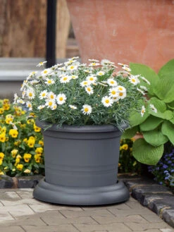 Untersetzer Mit Rollen -Gartenausstattergeschäft untersetzer rollen stimmung 1280x1280