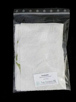 Phytoseiulus-Raubmilbe (Art.Nr. KB4480) -Gartenausstattergeschäft zipbeutel versand raubmilbe 80537 2 1280x1280